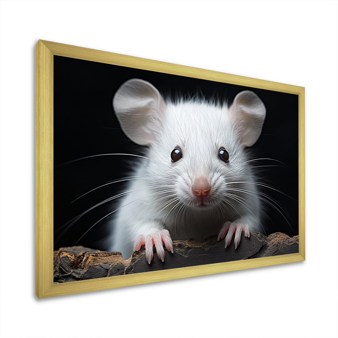 White Small Rodent Wonders - White Rodent Wall Art