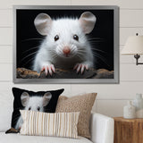 White Small Rodent Wonders - White Rodent Wall Art