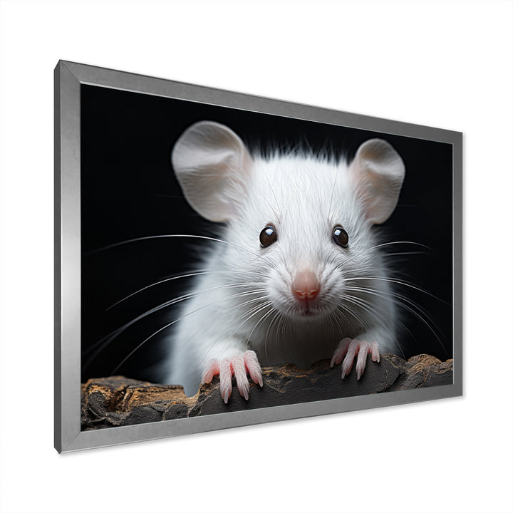 White Small Rodent Wonders - White Rodent Wall Art