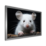 White Small Rodent Wonders - White Rodent Wall Art