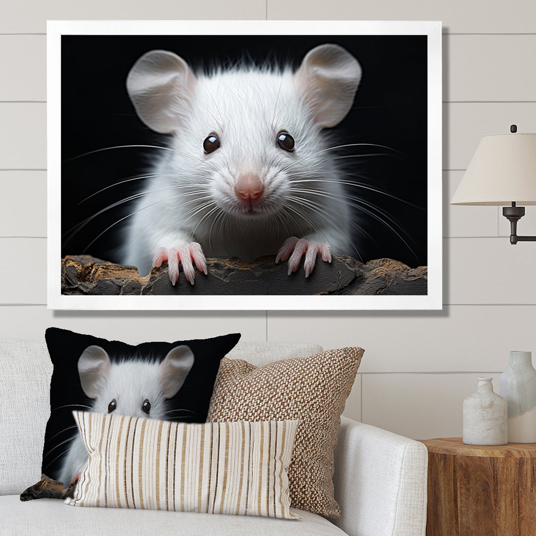 White Small Rodent Wonders - White Rodent Wall Art