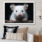 White Small Rodent Wonders - White Rodent Wall Art