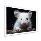 White Small Rodent Wonders - White Rodent Wall Art