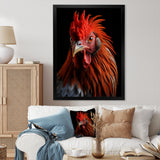 Brown Rooster Closeup Portrait - Rooster Home Decor Art