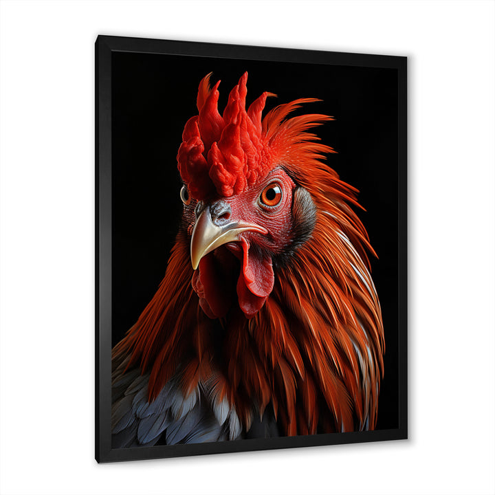 Brown Rooster Closeup Portrait - Rooster Home Decor Art