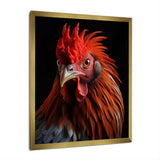 Brown Rooster Closeup Portrait - Rooster Home Decor Art