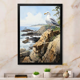 Seagull Coastal Guardian On Rock - Seagull Wall Art Prints