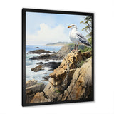 Seagull Coastal Guardian On Rock - Seagull Wall Art Prints
