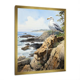 Seagull Coastal Guardian On Rock - Seagull Wall Art Prints