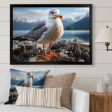 Seagull Portrait On Rock - Seagull Home Decor Art