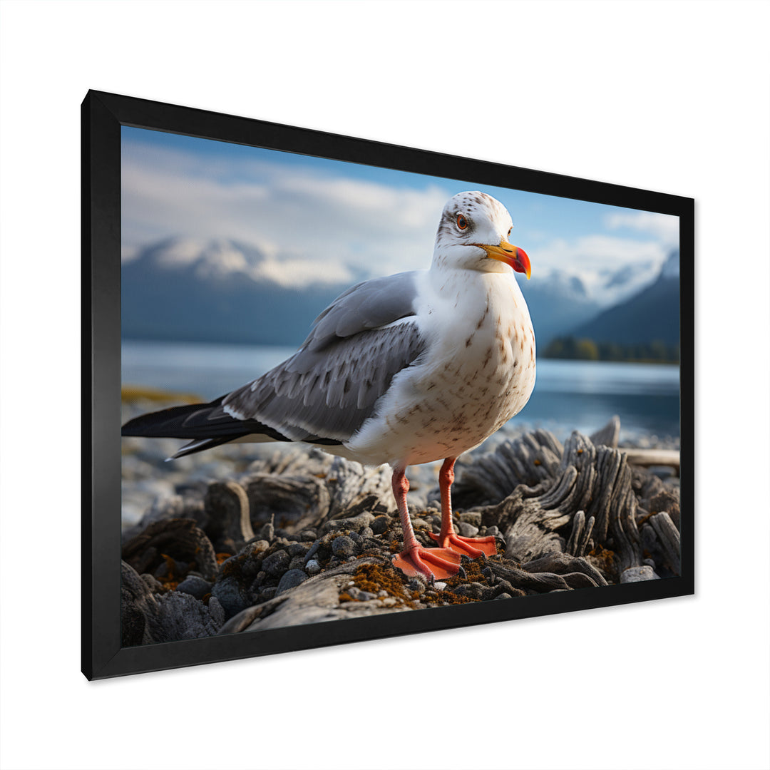 Seagull Portrait On Rock - Seagull Home Decor Art