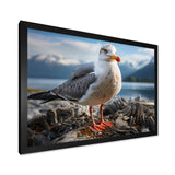 Seagull Portrait On Rock - Seagull Home Decor Art