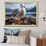 Seagull Portrait On Rock - Seagull Home Decor Art