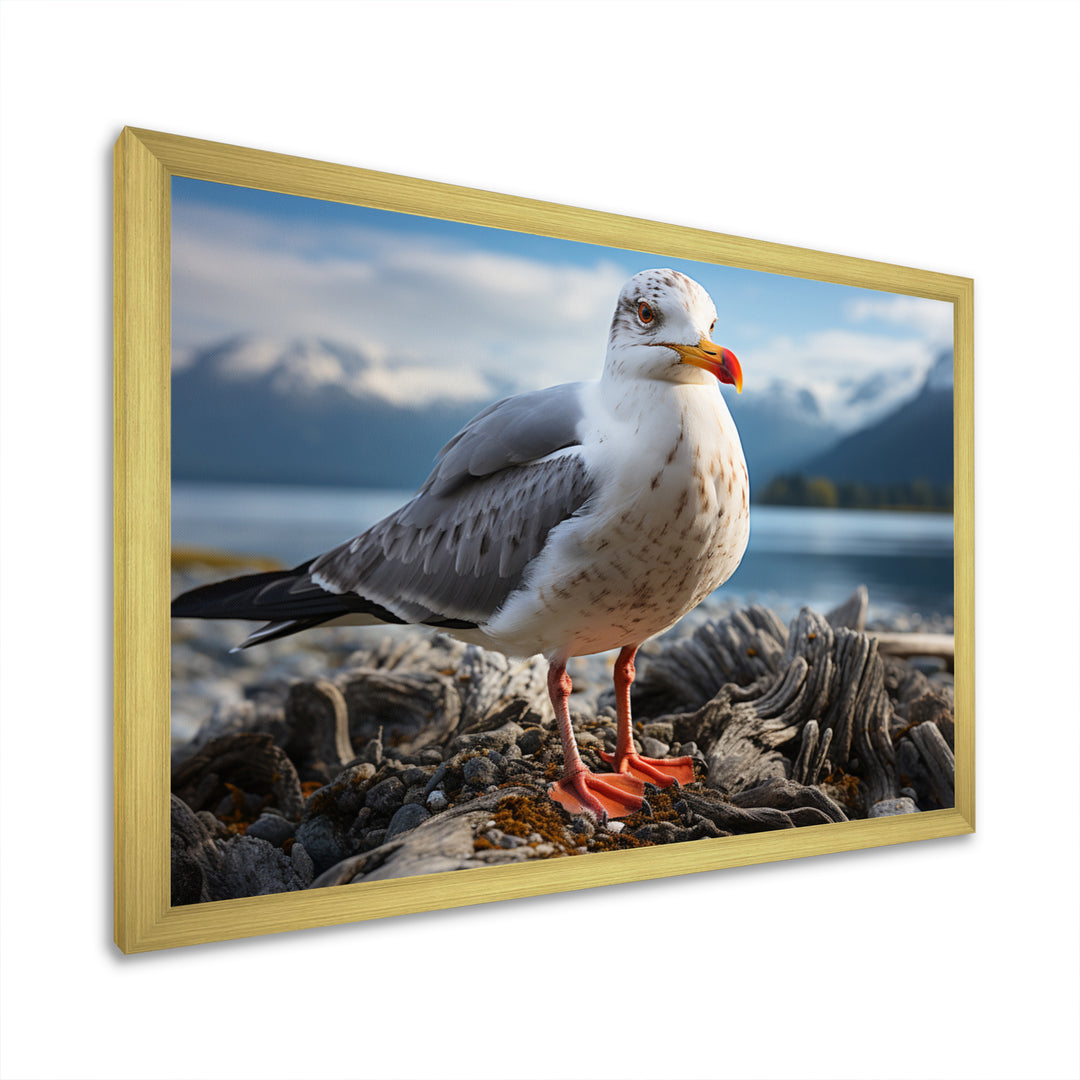 Seagull Portrait On Rock - Seagull Home Decor Art