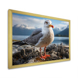 Seagull Portrait On Rock - Seagull Home Decor Art