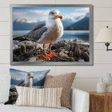 Seagull Portrait On Rock - Seagull Home Decor Art