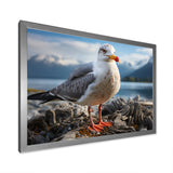 Seagull Portrait On Rock - Seagull Home Decor Art