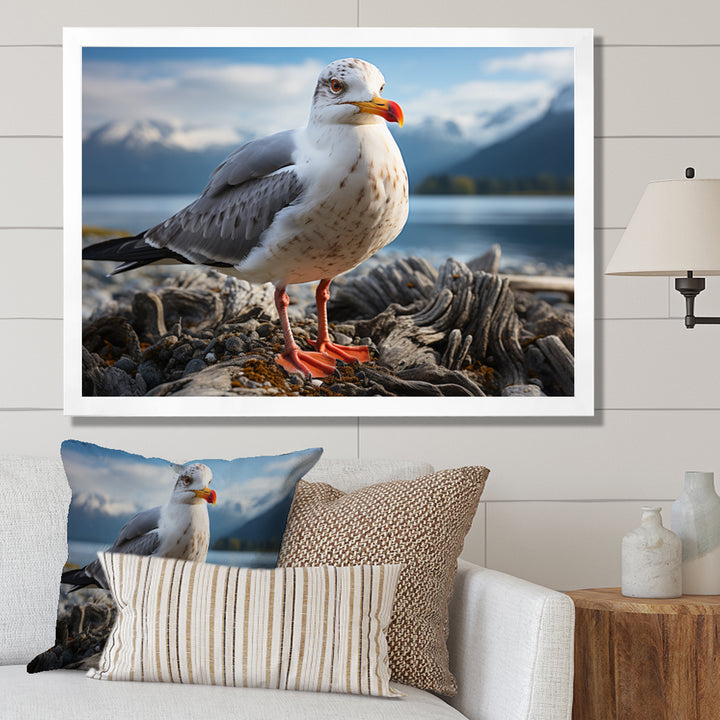 Seagull Portrait On Rock - Seagull Home Decor Art
