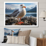 Seagull Portrait On Rock - Seagull Home Decor Art