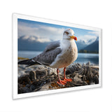 Seagull Portrait On Rock - Seagull Home Decor Art