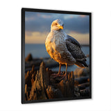 Seagull Vibrant Portrait On Rock - Seagull Living Room Wall Art