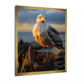 Seagull Vibrant Portrait On Rock - Seagull Living Room Wall Art