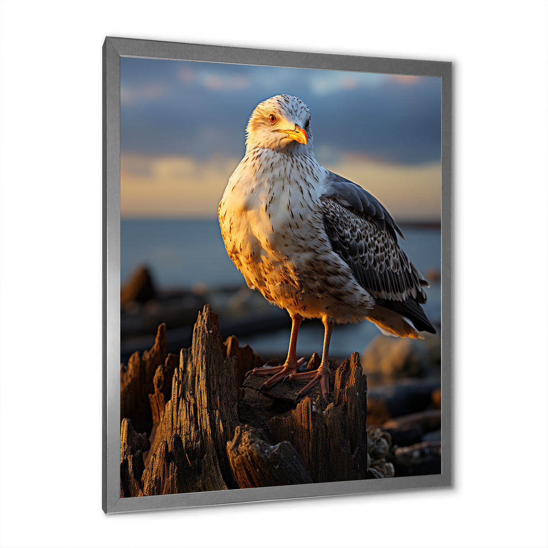 Seagull Vibrant Portrait On Rock - Seagull Living Room Wall Art
