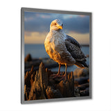 Seagull Vibrant Portrait On Rock - Seagull Living Room Wall Art
