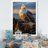 Seagull Vibrant Portrait On Rock - Seagull Living Room Wall Art