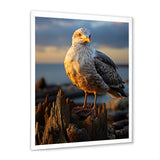 Seagull Vibrant Portrait On Rock - Seagull Living Room Wall Art