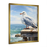 Seagull In Repose At Beach - Seagull Wall Art Prints