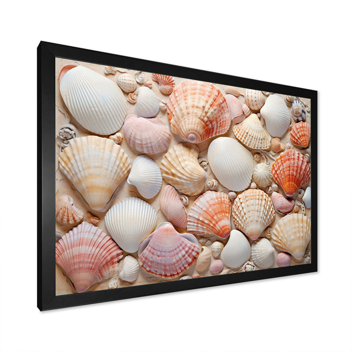 Seashell Contemporary Collage - Seashell Canvas Wall Art
