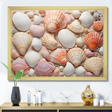 Seashell Contemporary Collage - Seashell Canvas Wall Art