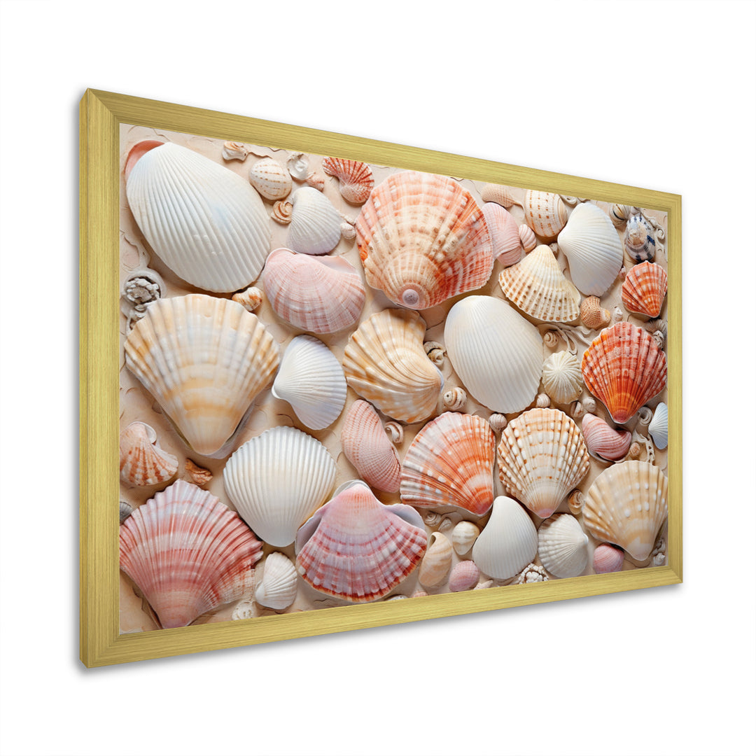Seashell Contemporary Collage - Seashell Canvas Wall Art