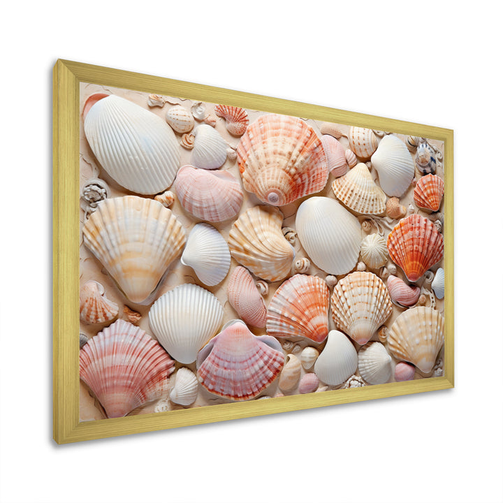 Seashell Contemporary Collage - Seashell Canvas Wall Art