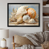 Seashells Contemporary Collage - Seashell Canvas Wall Art