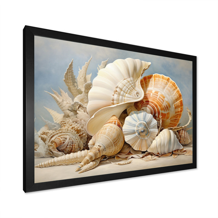 Seashells Contemporary Collage - Seashell Canvas Wall Art