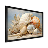 Seashells Contemporary Collage - Seashell Canvas Wall Art