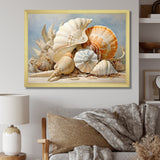 Seashells Contemporary Collage - Seashell Canvas Wall Art