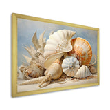 Seashells Contemporary Collage - Seashell Canvas Wall Art
