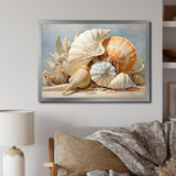 Seashells Contemporary Collage - Seashell Canvas Wall Art