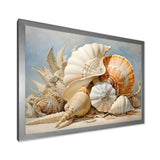 Seashells Contemporary Collage - Seashell Canvas Wall Art