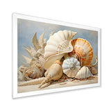 Seashells Contemporary Collage - Seashell Canvas Wall Art