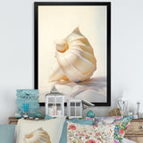 Seashell Minimalist Gems - Beige Seashell Wall Art