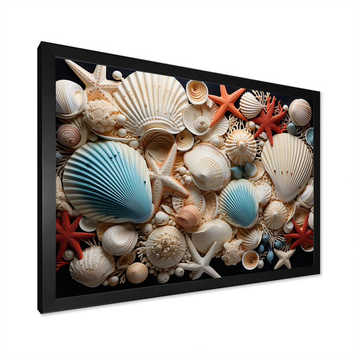 Seashell Collage - Seashell Framed Canvas Art