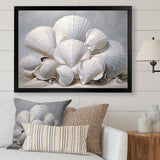 Monochromatic White Seashells - Seashell Home Decor Art