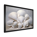 Monochromatic White Seashells - Seashell Home Decor Art