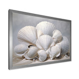 Monochromatic White Seashells - Seashell Home Decor Art