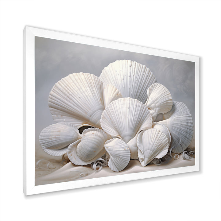 Monochromatic White Seashells - Seashell Home Decor Art