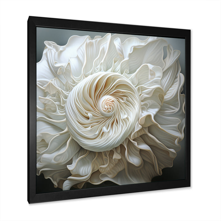 Monochromatic Seashells - Seashell Living Room Wall Art